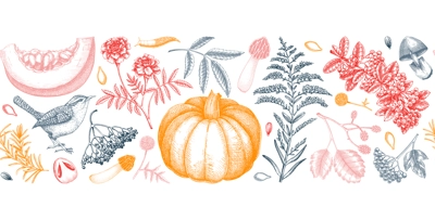 Warm autumn ribbon in sketch style. Fall leaves, pumpkins, berries, mushrooms  hand-drawn vector illustrations. Thanksgiving seamless pattern. NOT AI generated